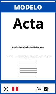 Modelo De Acta De Constitucion De Un Proyecto