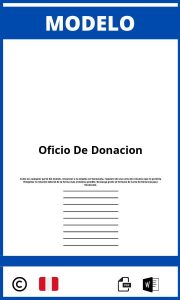 Modelo De Oficio De Donacion En Word