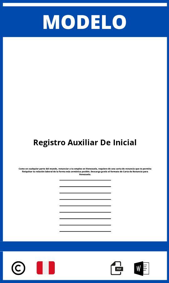 Modelo De Registro Auxiliar De Inicial